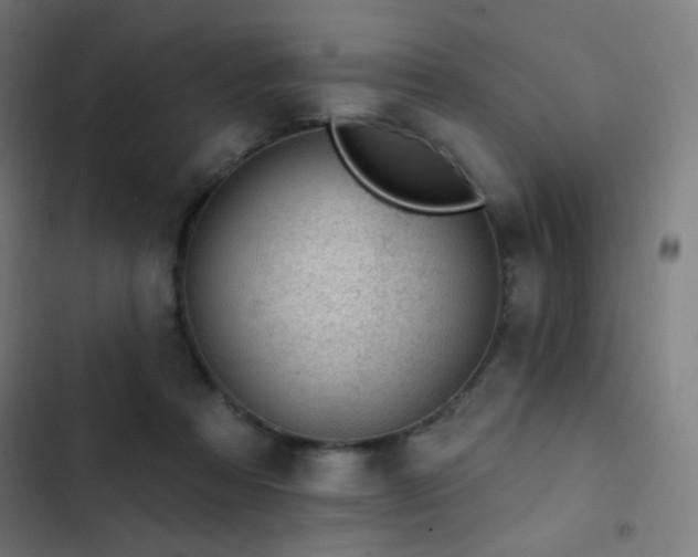 X0000103400313200809121248