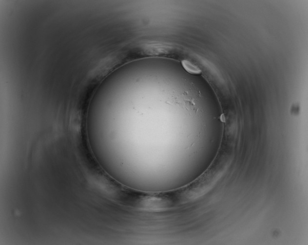 X0000103400315200809121248