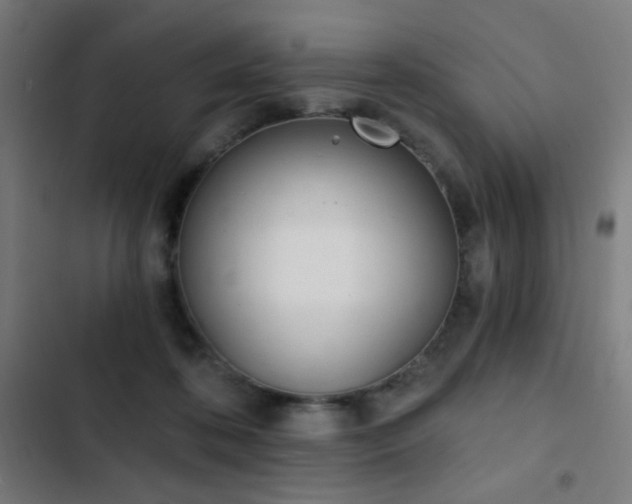 X0000103400316200809121248