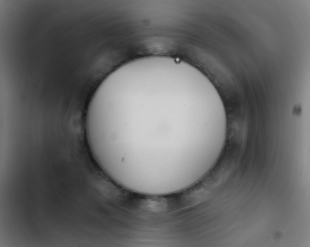 X0000103400317200809121248