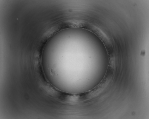 X0000103400318200809121248