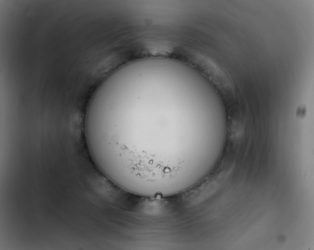 X0000103400321200809121248