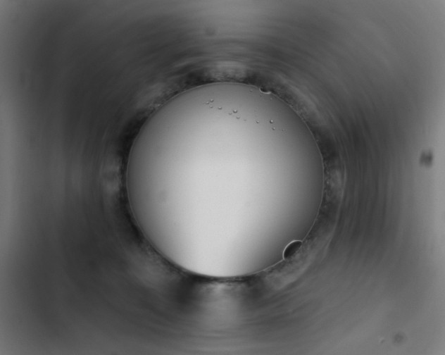 X0000103400323200809121248