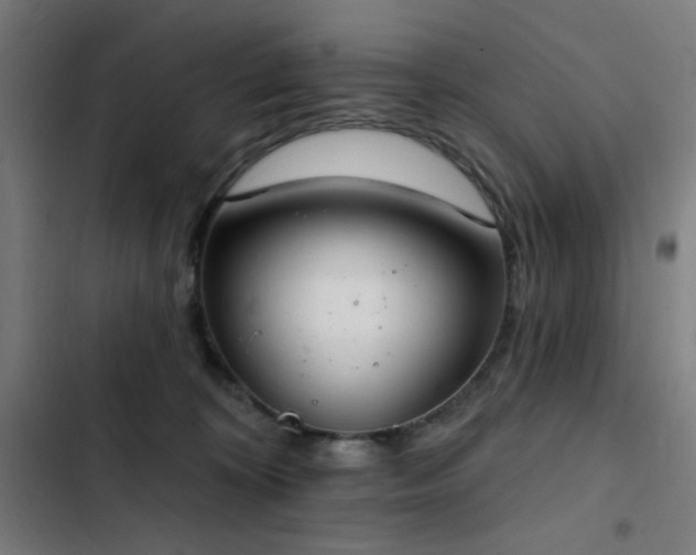 X0000103400324200809121248