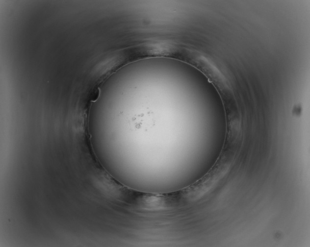 X0000103400325200809121248