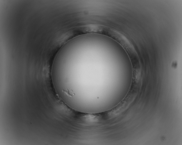 X0000103400326200809121248