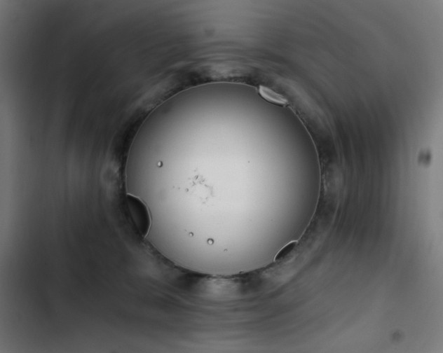 X0000103400327200809121248