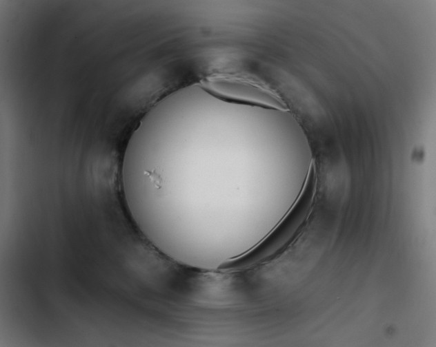 X0000103400328200809121248