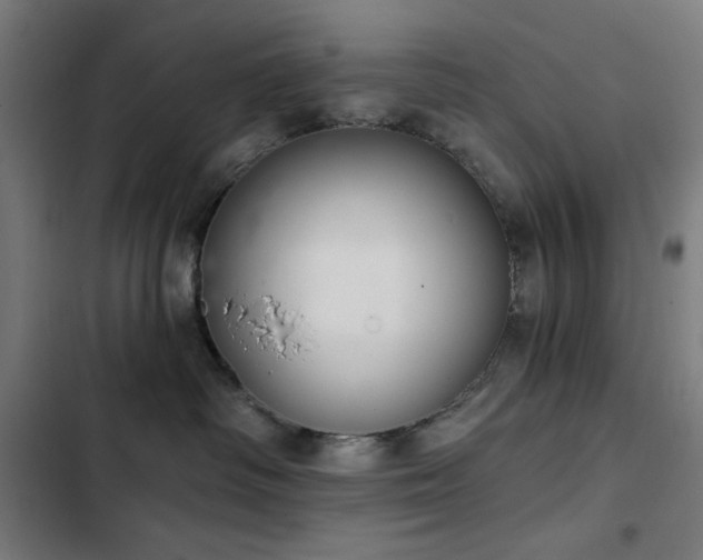 X0000103400334200809121248