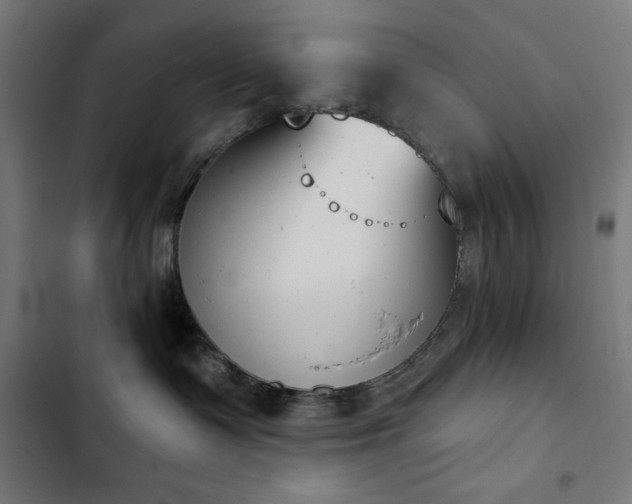 X0000103400335200809121248