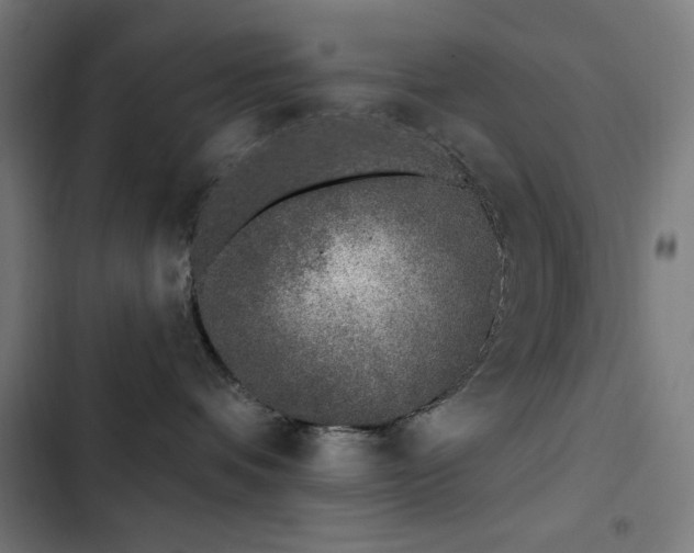 X0000103400336200809121248