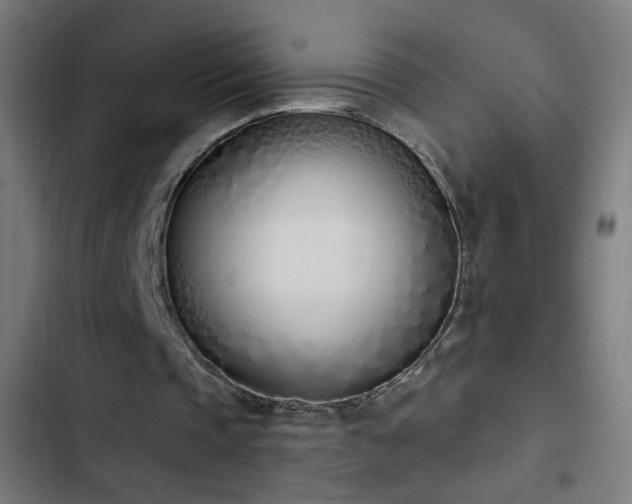 X0000103400337200809121247