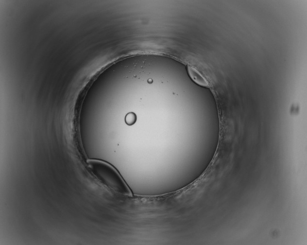 X0000103400338200809121247