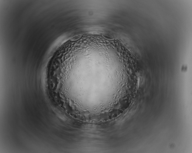 X0000103400339200809121247