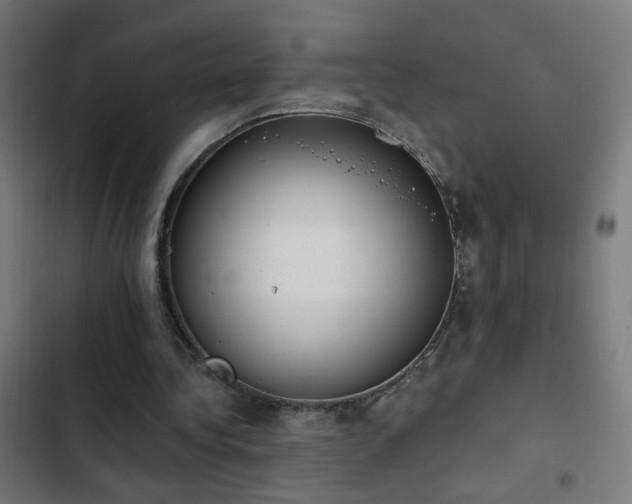 X0000103400340200809121247