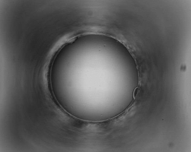 X0000103400341200809121247