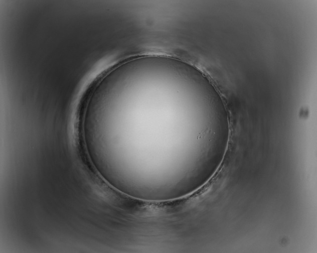 X0000103400343200809121247