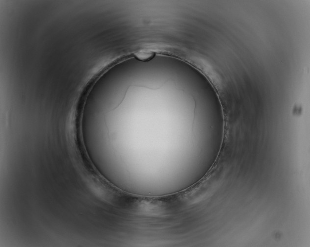 X0000103400346200809121247