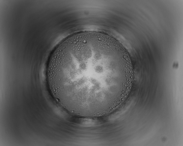 X0000103400347200809121247