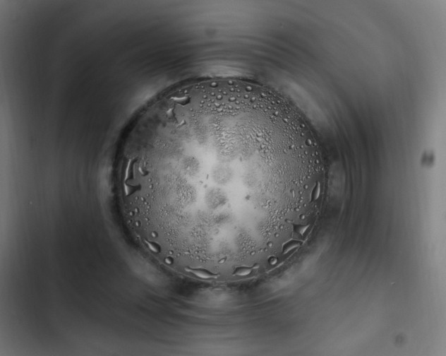 X0000103400351200809121247