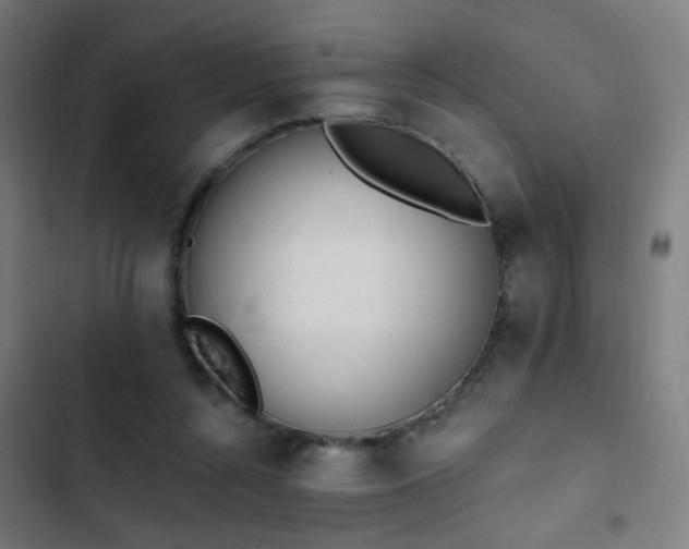 X0000103400352200809121247