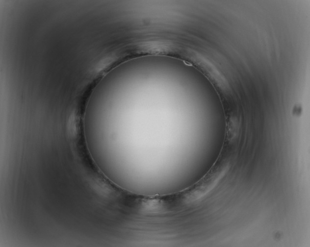 X0000103400355200809121247