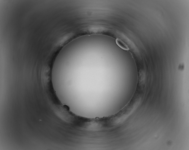 X0000103400356200809121247