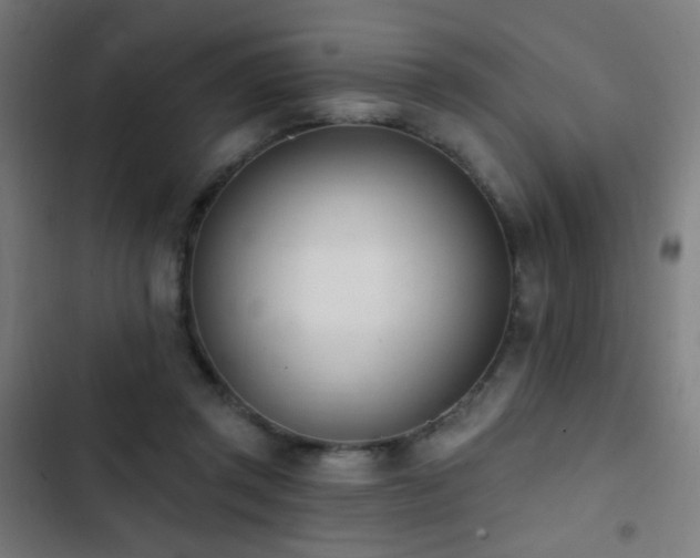 X0000103400357200809121247