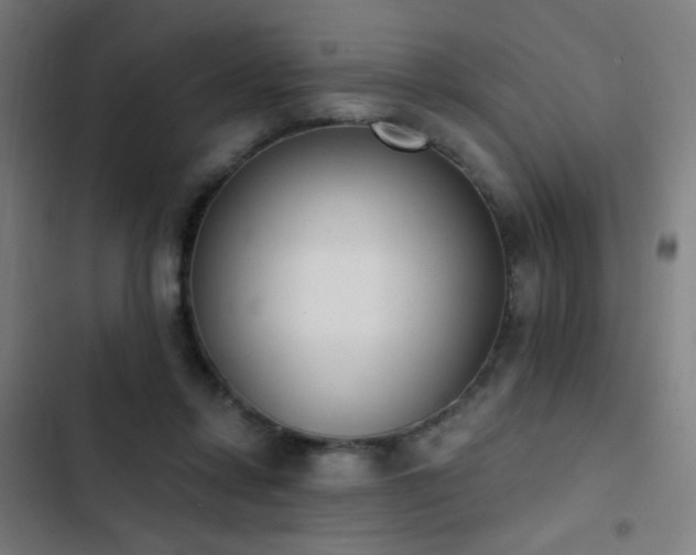 X0000103400358200809121247