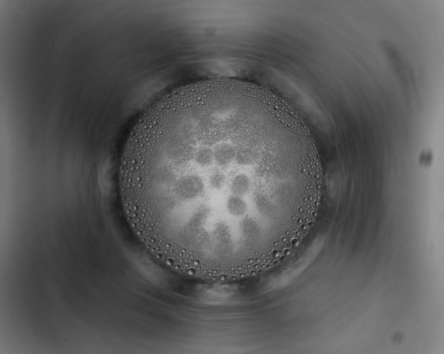 X0000103400359200809121247