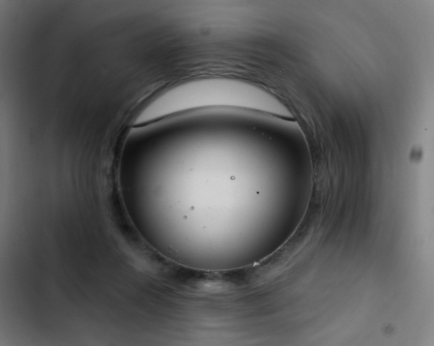 X0000103400360200809121247