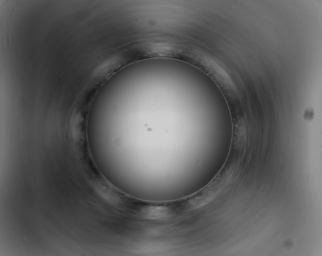 X0000103400361200809121247