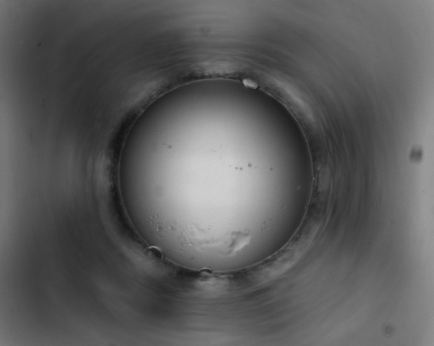 X0000103400362200809121247