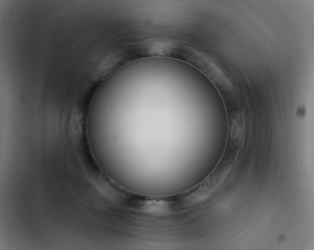 X0000103400363200809121247