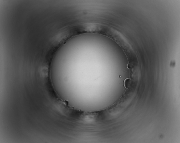 X0000103400368200809121247