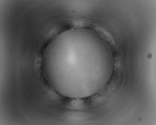 X0000103400369200809121247