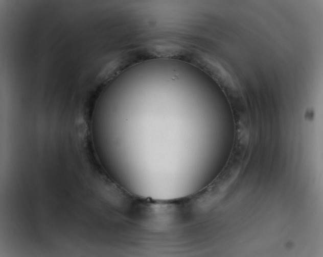 X0000103400371200809121248