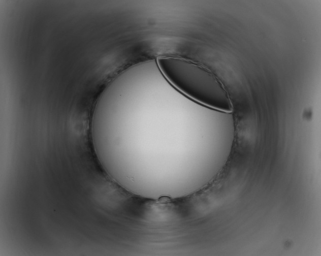 X0000103400372200809121248