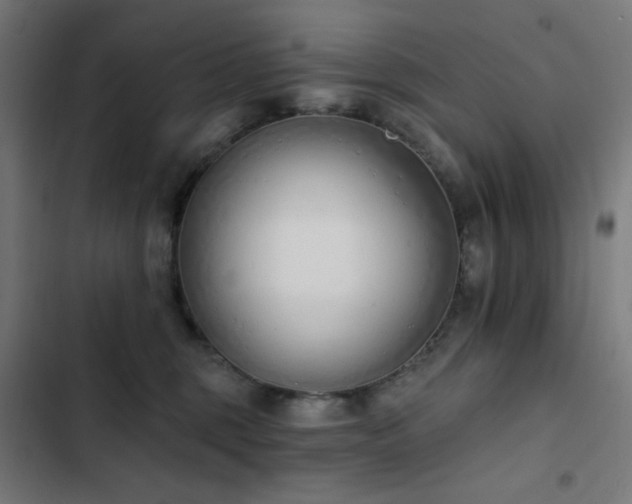 X0000103400375200809121248