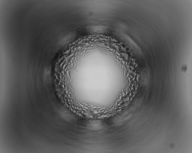 X0000103400377200809121248