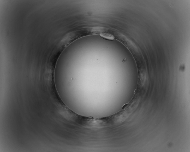 X0000103400379200809121248