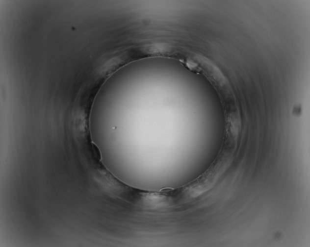 X0000103400380200809121248