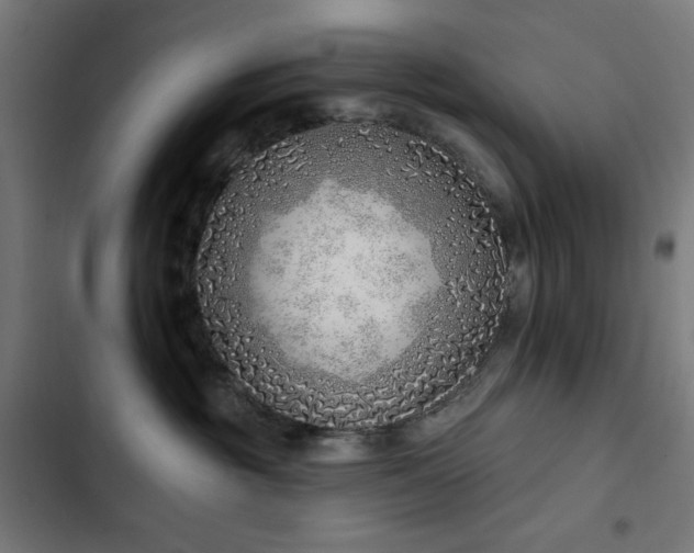 X0000103400381200809121248