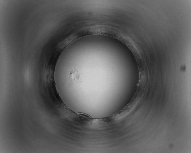 X0000103400382200809121248