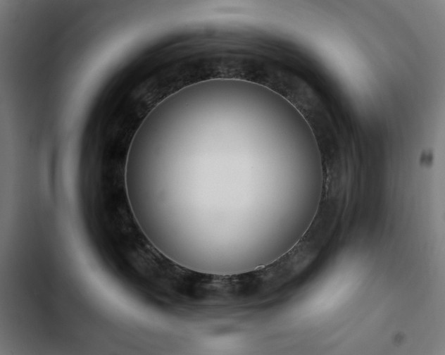 X0000103400383200809121248