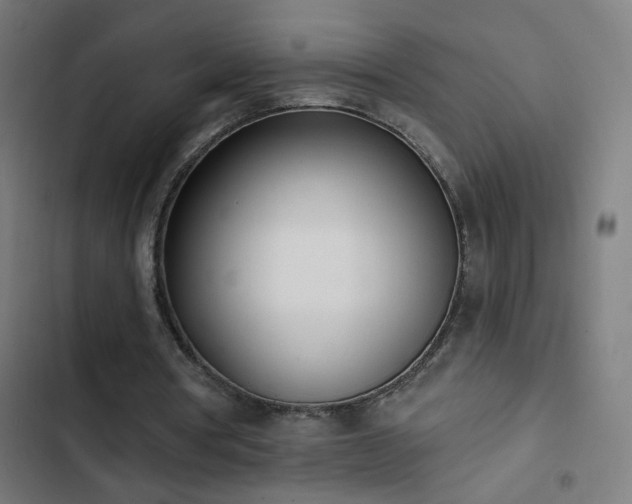 X0000103400386200809121247