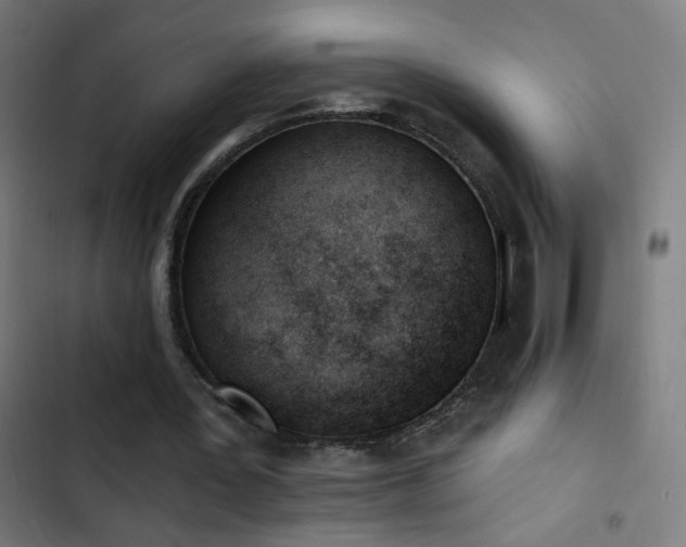 X0000103400387200809121247