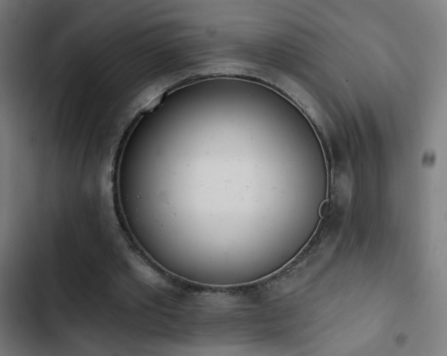 X0000103400389200809121247