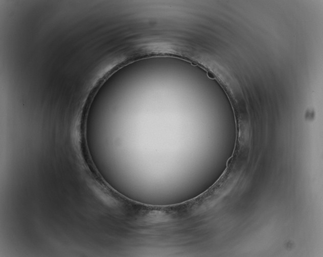 X0000103400390200809121247