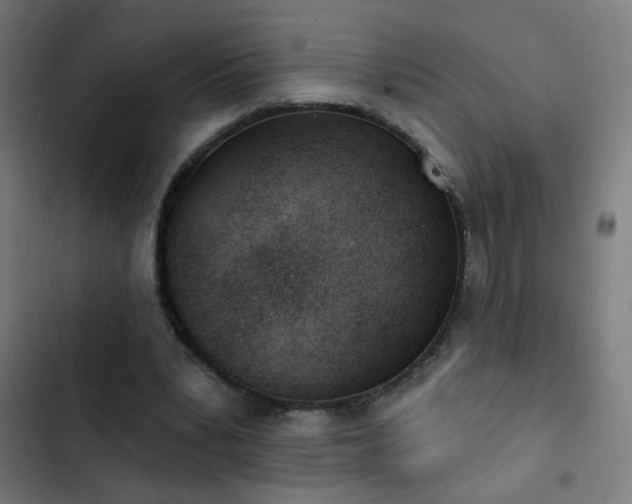 X0000103400391200809121247